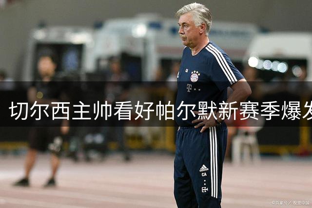 切尔西主帅看好帕尔默新赛季爆发 伤病困扰已成过去