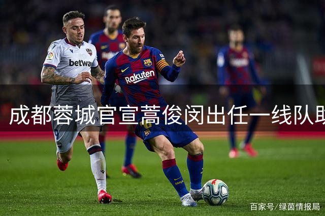 成都蓉城官宣蒿俊闵出任一线队助理教练