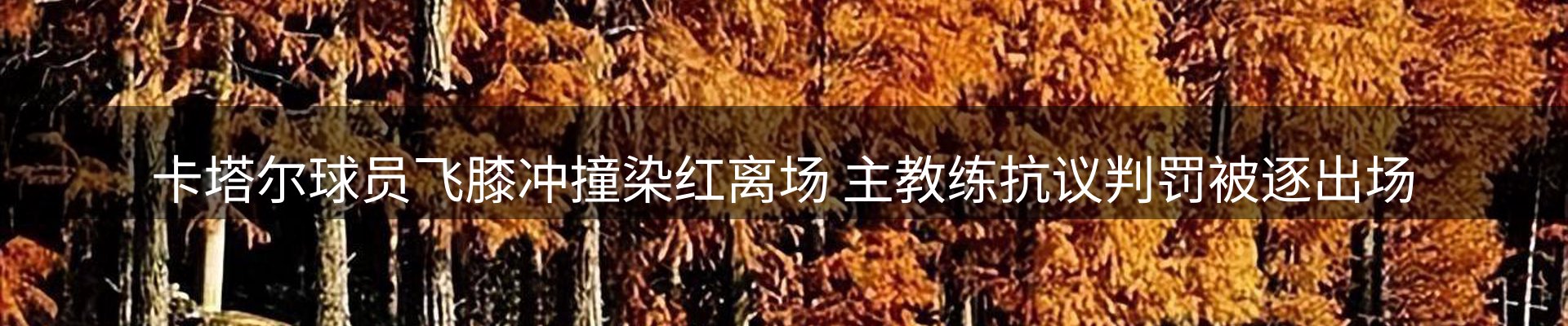 市场观察