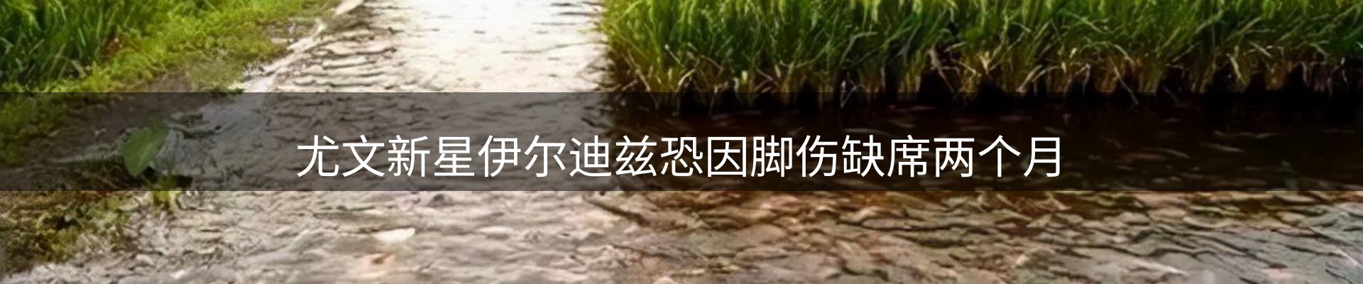 网站资讯