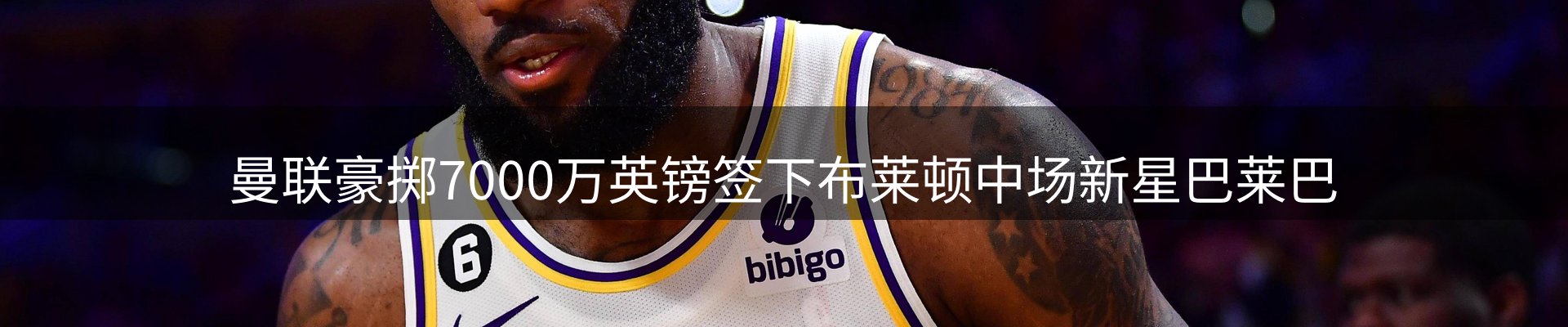 网站资讯