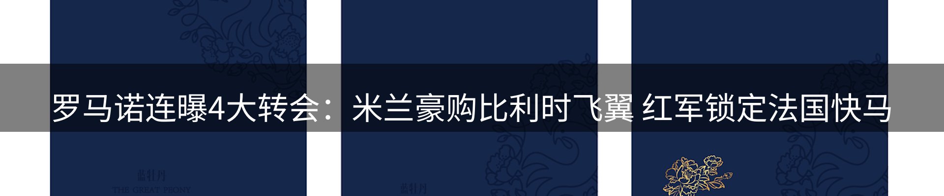 网站资讯