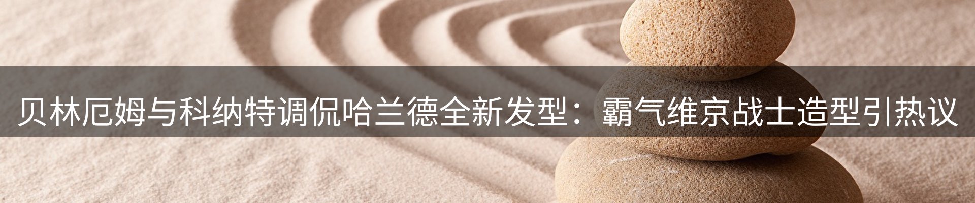 网站资讯