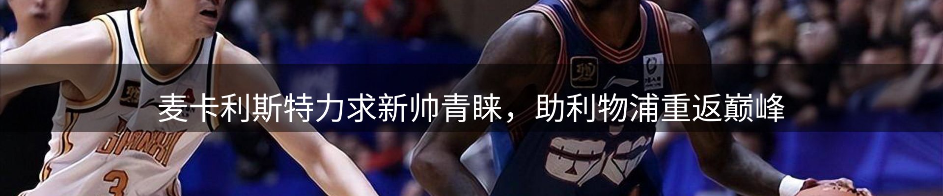 网站资讯